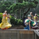 밸리댄스 이미지