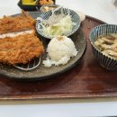 백소정인하대