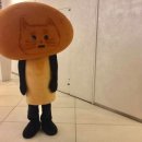 보키 이미지