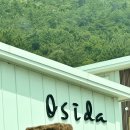 오시다(OSIDA) 네이버블로그