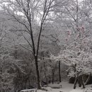 날맹이민박 이미지