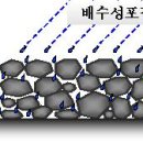 수망리교차로 1 이미지