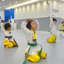 청룡유치원 네이버블로그