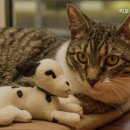 이모란동물병원 이미지