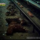 치명농장 이미지