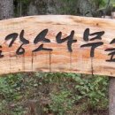 소광리민박 이미지