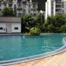 수영장민박 이미지