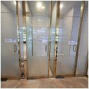 도도한강아지 이미지