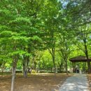 은빛77번길 이미지