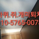 로취사이언스