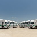 물고기태양광발전소 이미지