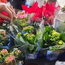 군자경로당 이미지