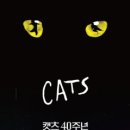 애드캣츠 이미지
