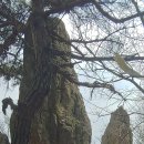 대전둘레산길(10구간) 이미지