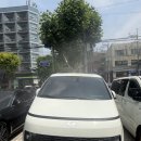 무궁카정비센타 | 롯데렌탈 렌터카 연구소 3호차 출고｜서대문구 연희동 병원 차량 출고! 스타리아 하이브리드 모던...