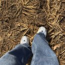 김밥나라나들이 송현점 | 파주 독수리 식당 방문 후기 | 준비 없이 갔다가 후회한 이야기 (2026)