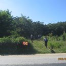 갈매초등학교 버스정류장 이미지