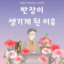 53 이미지