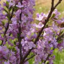 그린바다 이미지