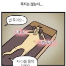 수미안요가원