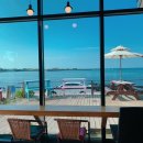 캐리비안민박 이미지