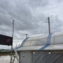 대덕농장 | 천안전기차충전기 포도농장 사업장 한전서류접수 후 편리완속기 7m 케이블 설치