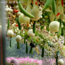 광주도자기엑스포장 이미지