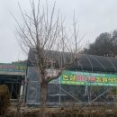 논실농원 이미지