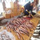 안산 시민시장 이미지