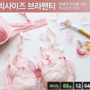 [쿠팡]비비안외 빅사이즈 브라팬티 이미지