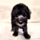 이아이앤테리어 이미지