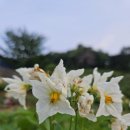 한라시티부동산공인중개사사무소 이미지