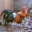 박달농장 이미지