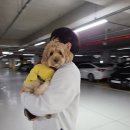 청계중앙공원 1 이미지