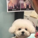 개르띠에 이미지