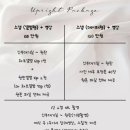 [결혼준비_03] 결혼 본식DVD - 업라이트 계약후기