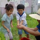 재호환경 이미지