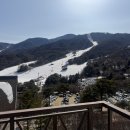 가족호텔 백합동 이미지