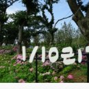 암태민박식당 이미지