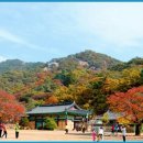 속리산 - 성남시 중원구 시민로117번길 2 | 속리산