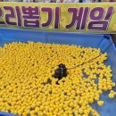 아이술크림 이미지