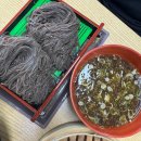 봉동로 | 완주 봉동 맛집 진소바 봉동본점, 시원한 냉소바와 콩국수, 소불고기한접시 후기