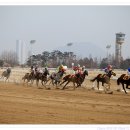 경마공원 이미지