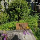 8코기네 애견펜션 이미지