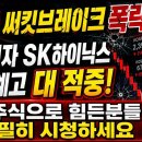 [긴급]써킷브레이크 삼성전자, SK하이닉스 조정 예고 대적중!! 주식으로 힘든분들 필히 시청하세요 이미지