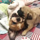 봉자빨래 이미지