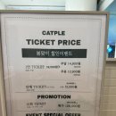 도도한 개냥이 | 깨끗하고 관리 잘 된 아이와 가기 좋은 고양이 카페 캣플코지눅 수원