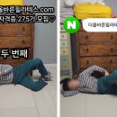 덩키 티스토리
