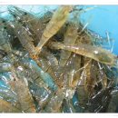 민물천국 이미지