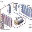 오정차사랑 이미지